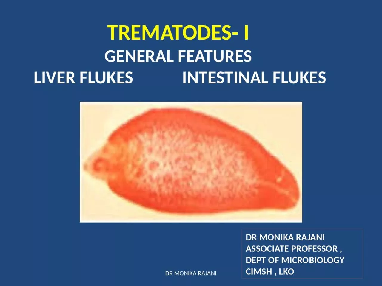 TREMATODES- I GENERAL FEATURES