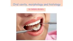 Oral   cavity ,  morphology