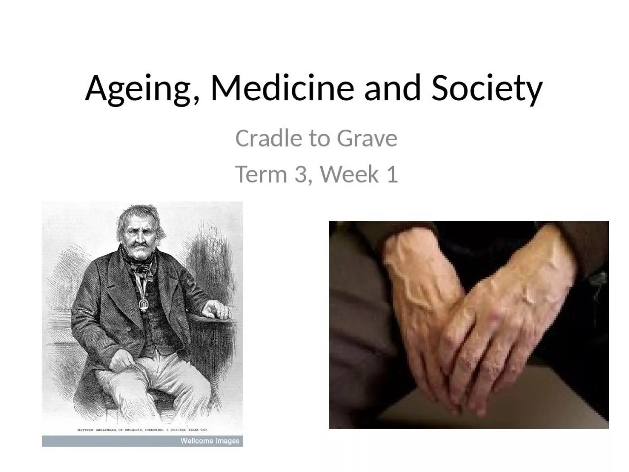 PPT-Ageing, Medicine and Society