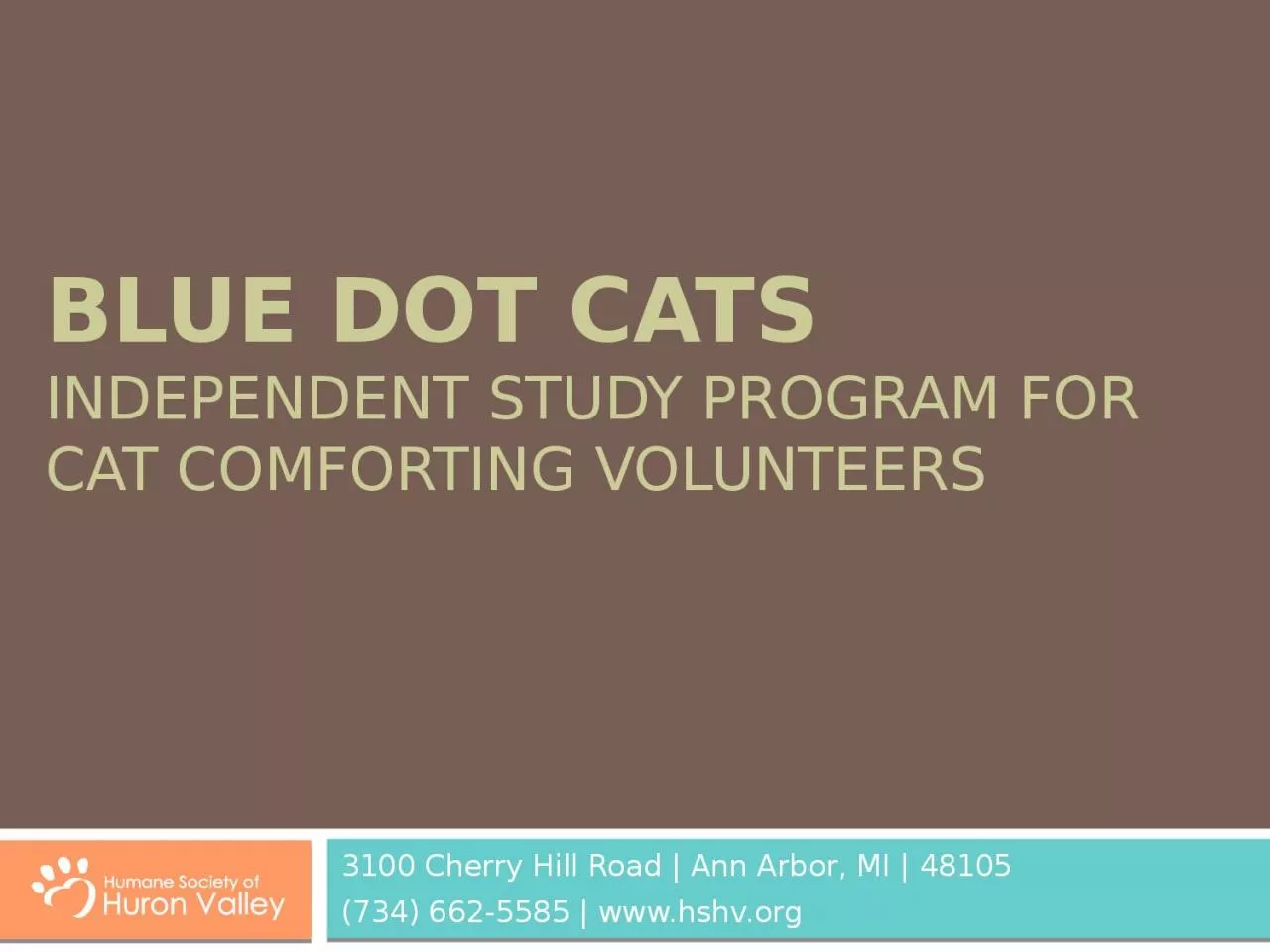 Blue Dot Cats independent Study program for cat comforting volunteers