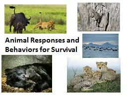 Animal Responses and Behaviors for Survival