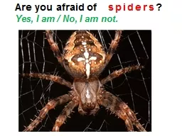 Are you afraid of     spiders