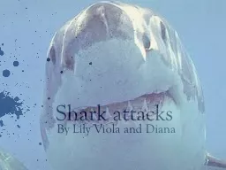 Shark attacks By Lily  V