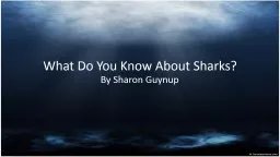 What Do You Know About Sharks?