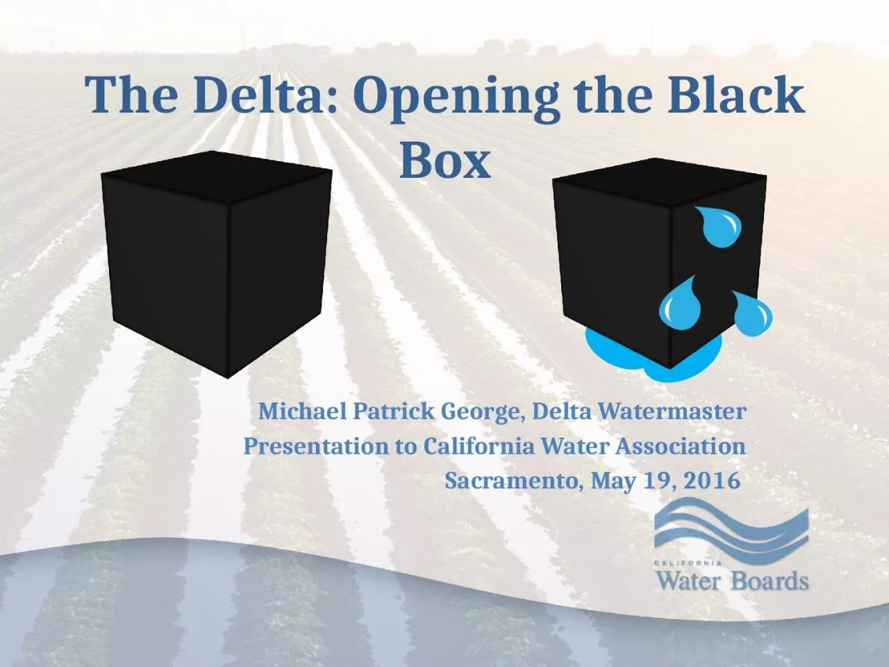 The  Delta: Opening the Black Box