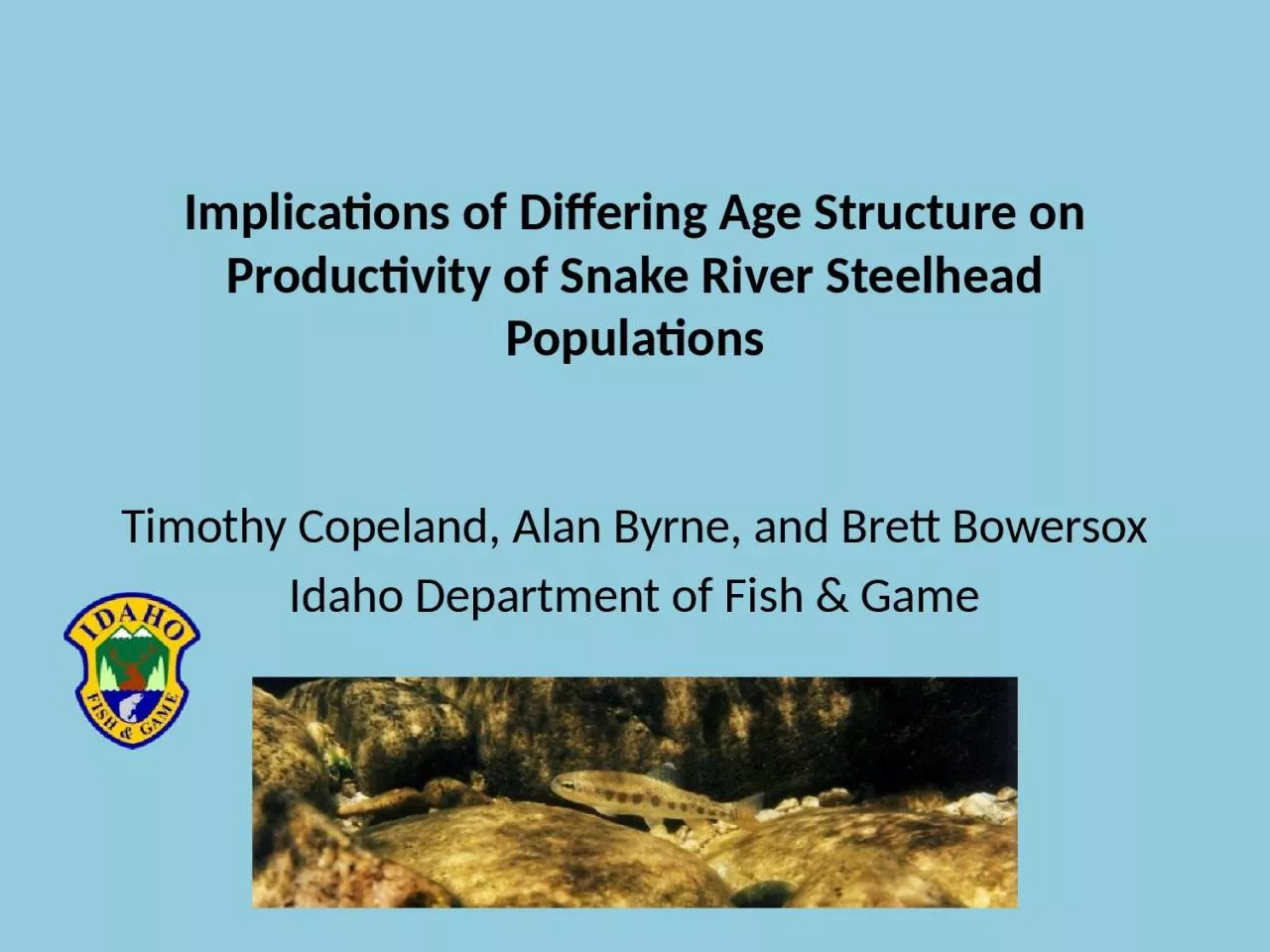 PPT-Implications of Differing Age Structure on Productivity of Snake River Steelhead Populations