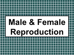 Male & Female Reproduction