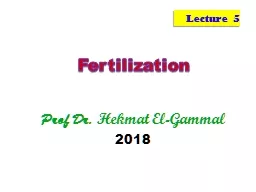 Fertilization Prof Dr.