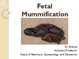Fetal Mummification Dr.