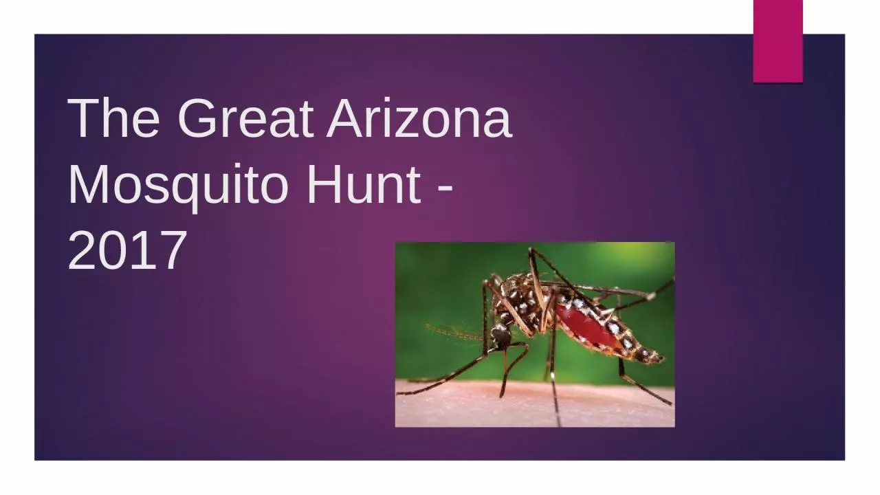 PPT-The Great Arizona Mosquito Hunt - 2017