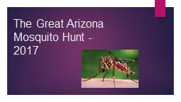 The Great Arizona Mosquito Hunt - 2017