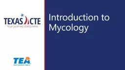 PPT-Introduction to Mycology