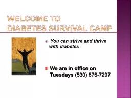 Welcome to  Diabetes Survival Camp