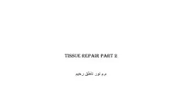 Tissue Repair part 2 م.م نور ناطق رحيم