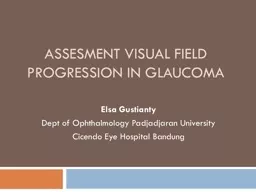 Assesment  Visual  Field