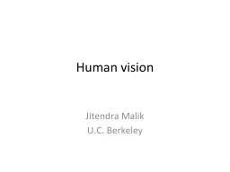 Human vision  Jitendra Malik