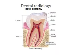 Dental radiology Tooth anatomy