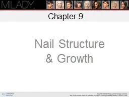 Chapter 9 Nail Structure