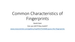 Common Characteristics of Fingerprints