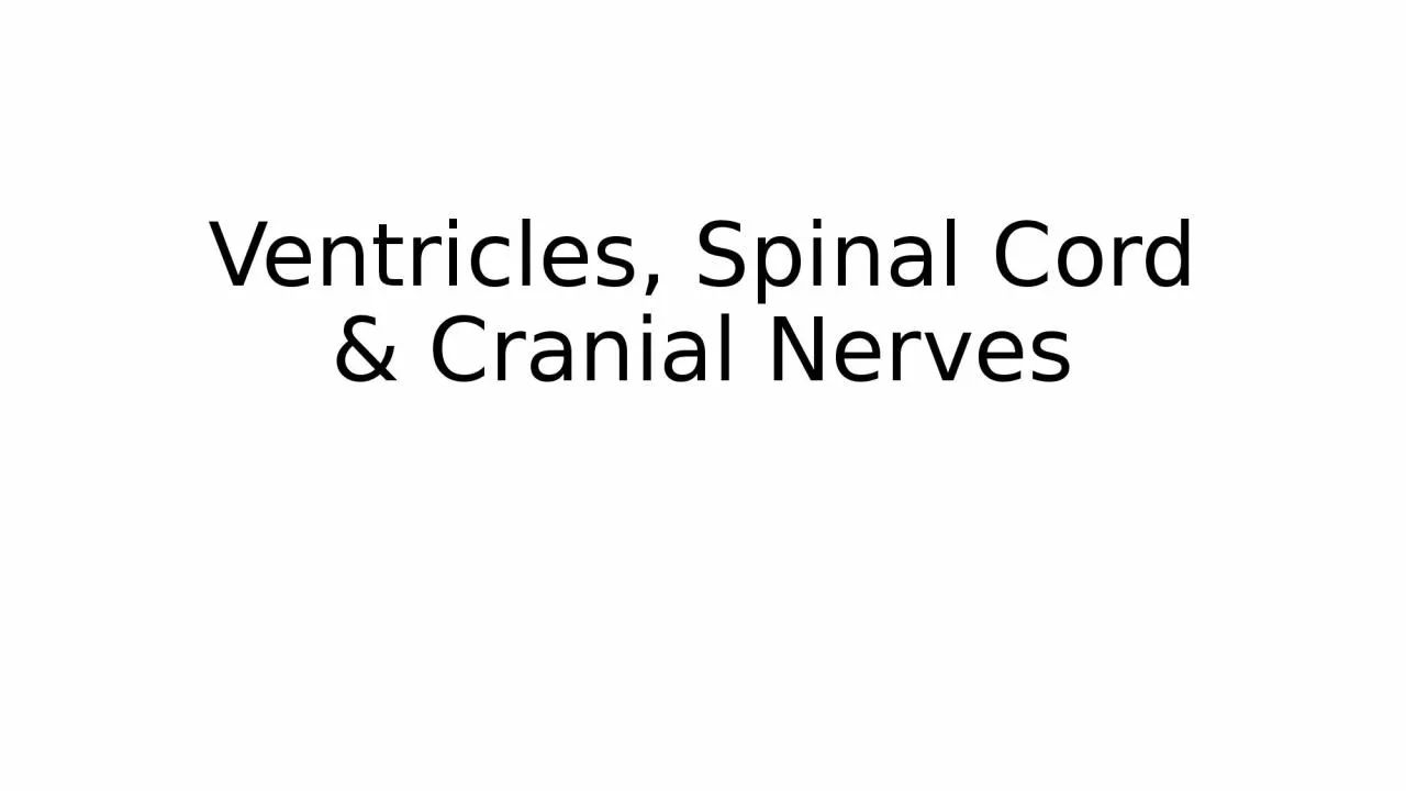 Ventricles, Spinal Cord & Cranial Nerves