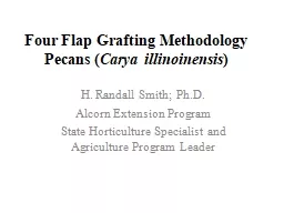 Four Flap Grafting Methodology