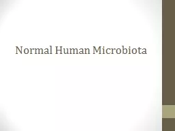 Normal Human  Microbiota