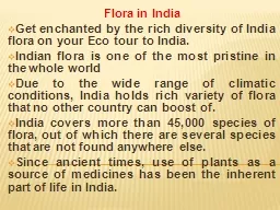 Flora in India  Get enchanted by the rich diversity of India flora on your Eco tour to