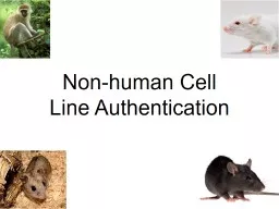 Non-human Cell  Line Authentication