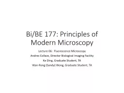 Bi/BE 177: Principles of Modern Microscopy