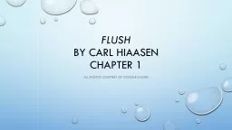 Flush by Carl Hiaasen chapter