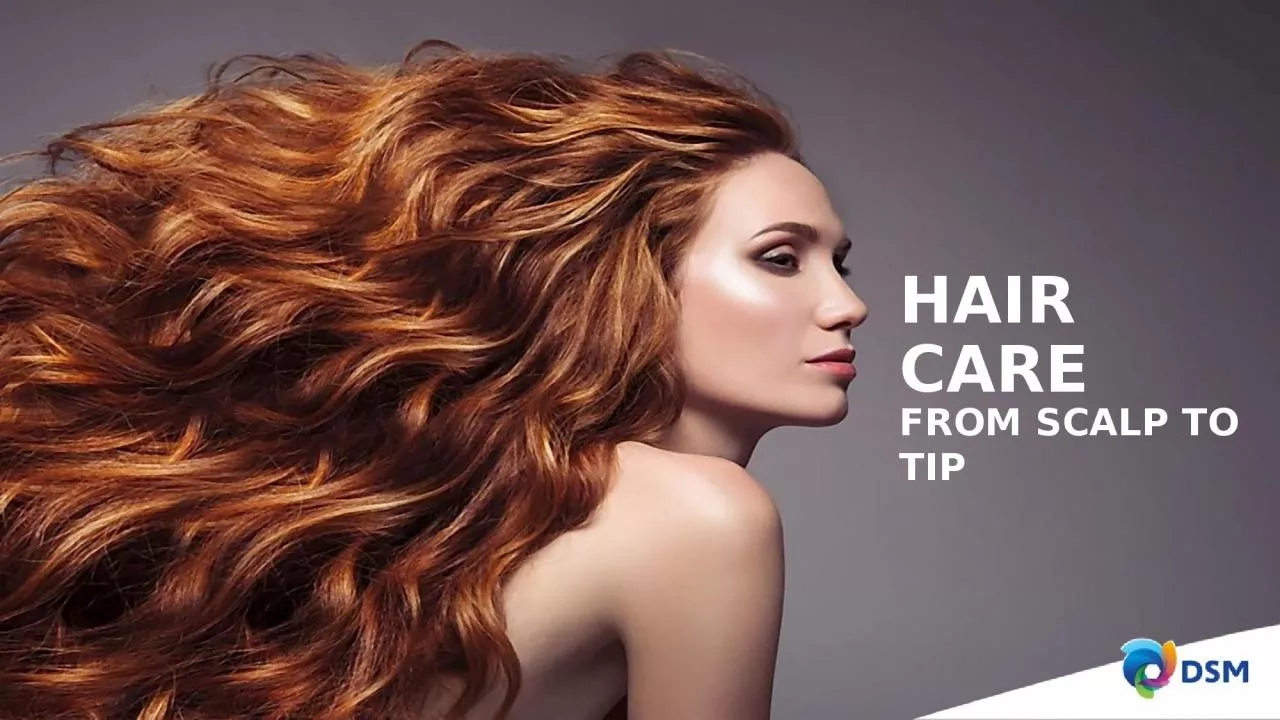 PPT-1 lla Hair care FROM SCALP TO TIP