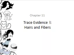 Trace Evidence l:  Hairs and Fibers
