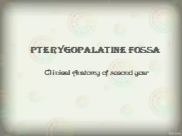 Pterygopalatine   fossa