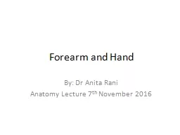 Forearm and Hand By: Dr Anita