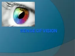 Sense of Vision Introduction