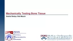 Mechanically Testing Bone Tissue