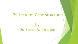 2 nd  lecture:  Gene  structure