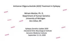Antisense Oligonucleotide (ASO) Treatment in Epilepsy