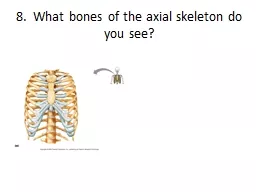 8.  What bones of the axial skeleton do you see?