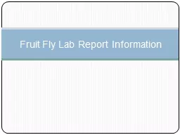 Fruit Fly Lab Report Information