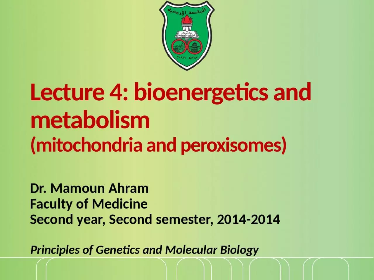 Lecture 4: bioenergetics and metabolism