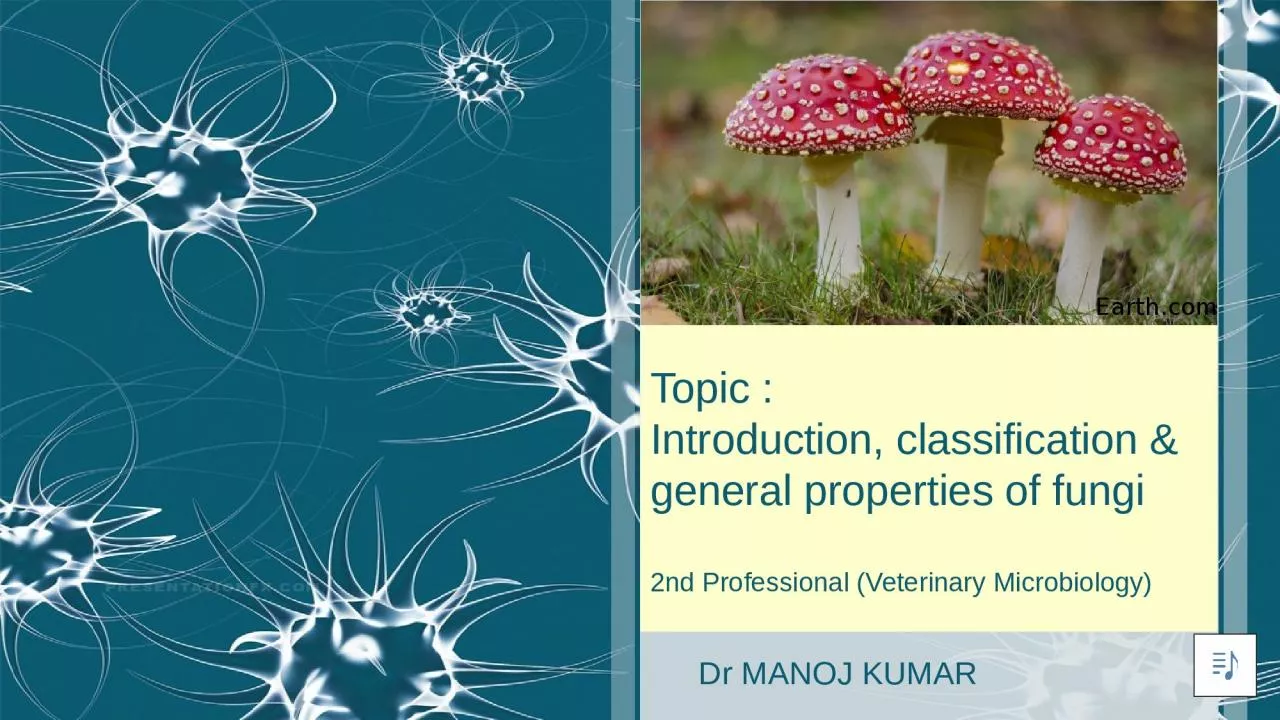 PPT-Topic : Introduction, classification & general properties of fungi