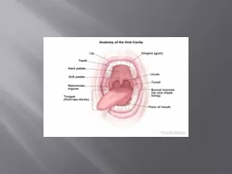ORAL CAVITY The oral cavity is formed by a bewildering array of tissues which function