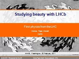 Studying beauty with LHCb