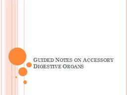 Guided Notes on Accessory Digestive Organs