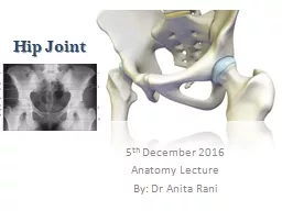 Hip Joint 5 th  December 2016