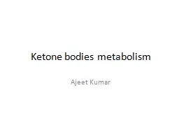 Ketone  bodies metabolism