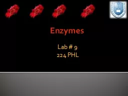 Enzymes Lab # 9 224 PHL Determination of Serum