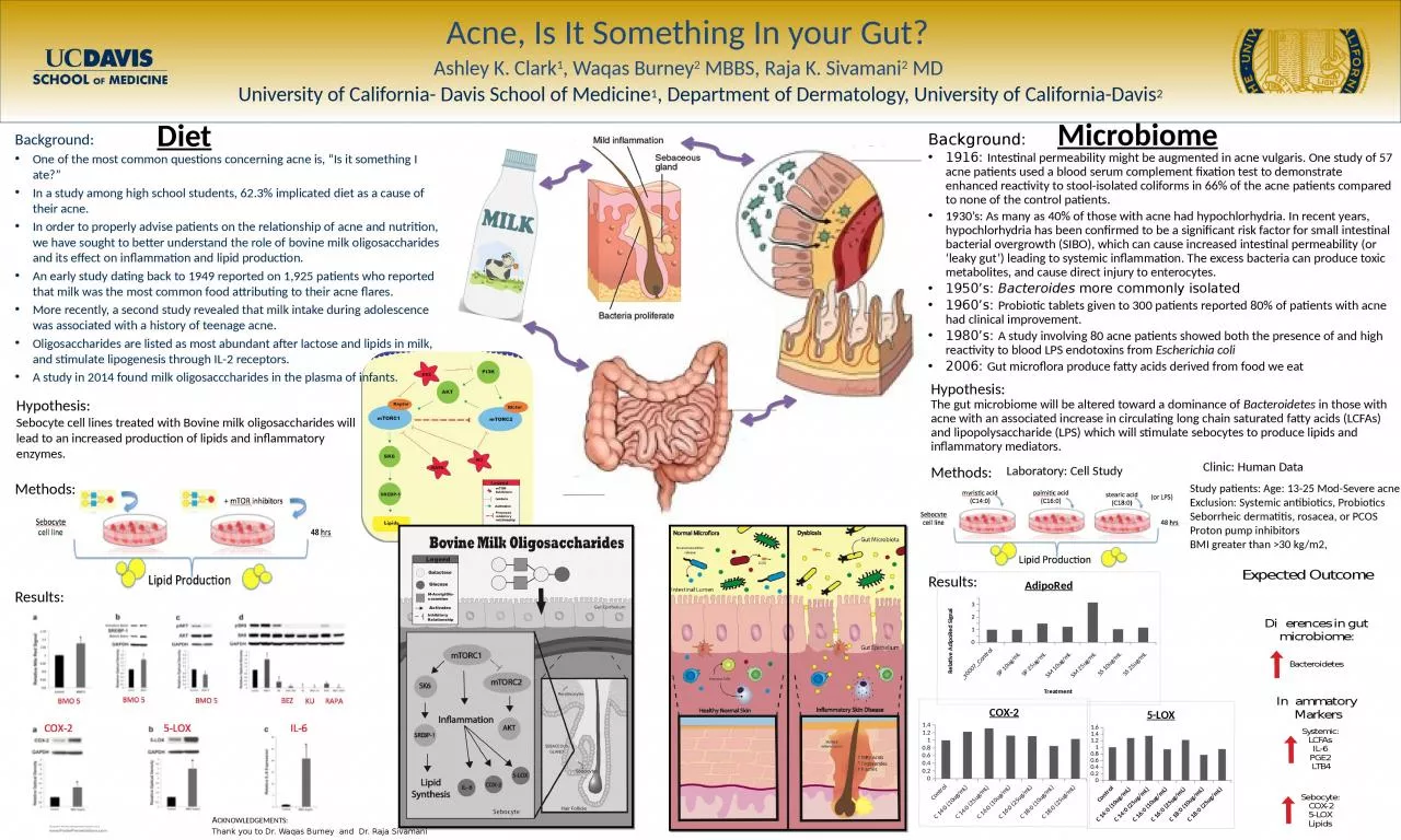 PPT-Background: 1916: I ntestinal