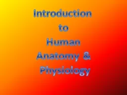 Introduction  to  Human